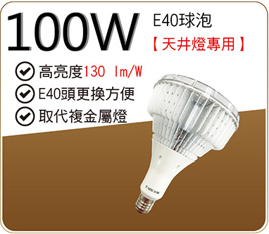 100W燈泡(天井燈專用)